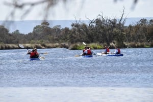 Perth: Guided Kayak Tour around Canning River Wetlands