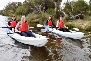 Perth: Guided Kayak Tour around Canning River Wetlands