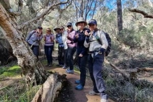 Perth: Hidden Gems of Perth Hiking Tour with Lunch