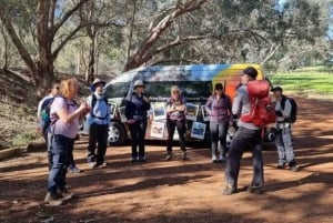 Perth: Hidden Gems of Perth Hiking Tour with Lunch