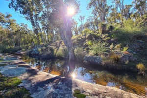 Perth Hills : Randonnée de méditation avec thé du matin