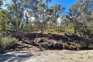 Perth Hills : Randonnée de méditation avec thé du matin