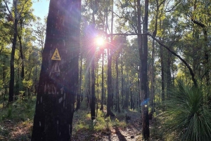 Perth Hills : Randonnée de méditation avec thé du matin