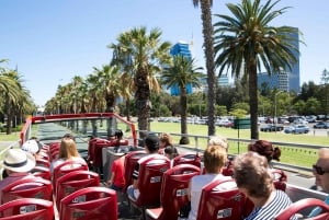 Perth: Hop-on Hop-off Sightseeing Bus Ticket