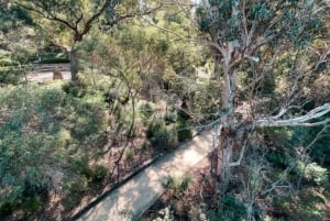 Perth Caminata guiada por Kings Park Botanicals & Beyond