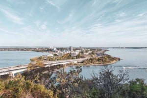 Perth: Kings Park Botanicals & Beyond Guidad vandring