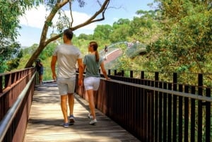 Perth: Kings Park Botanicals & Beyond Guidad vandring