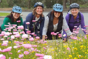 Perth: Kings Park Wildflower Festival rondleiding op de fiets