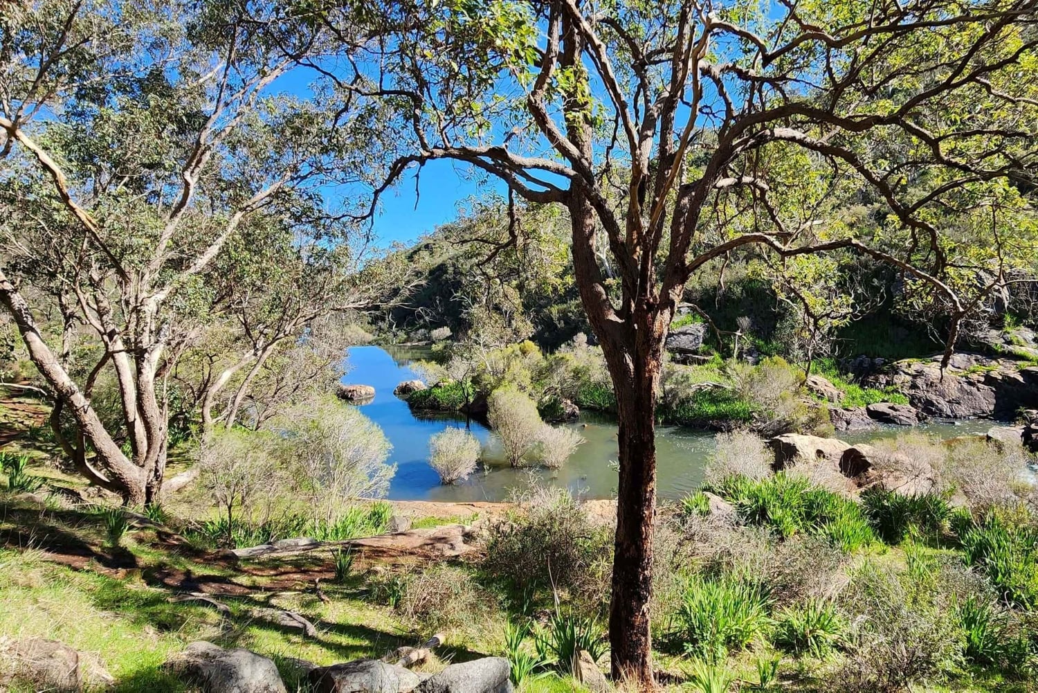 Perth: Kitty's Gorge -vaellus ja aamutee