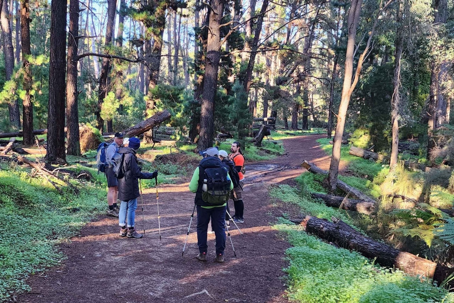 Perth: Kitty's Gorge -vaellus ja aamutee