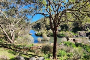 Perth: Kitty's Gorge -vaellus aamuteellä