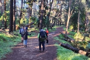 Perth: Kitty's Gorge -vaellus ja aamutee