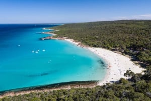 Perth: Margaret River Highlights Tour with Wine and Cheese