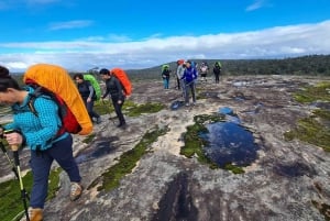 Perth: Escursione notturna sul Monte Cooke