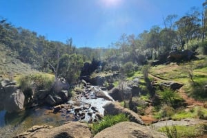 Perth: Ruta de senderismo Numbat Trail en el Santuario de Vida Silvestre Paruna