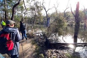 Perth: Ruta de senderismo Numbat Trail en el Santuario de Vida Silvestre Paruna