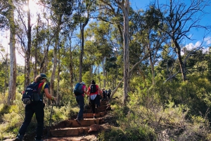 Perth: Ruta de senderismo Numbat Trail en el Santuario de Vida Silvestre Paruna
