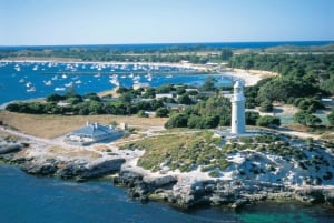 Perth: Enkele reis vlucht transfer van of naar Rottnest eiland