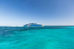 Perth or Fremantle: Rottnest Island Ferry and Bus Tour
