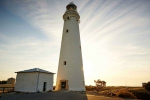 From Perth or Fremantle: Rottnest Island Ferry and Bus Tour