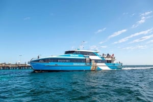 Perth or Fremantle: Rottnest Island Ferry and Bus Tour