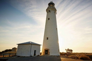 From Perth or Fremantle: Rottnest Island Ferry and Bus Tour