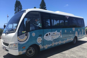 From Perth or Fremantle: Rottnest Island Ferry and Bus Tour