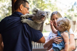 Perth: Outback Splash Entry Ticket & Koala Experience