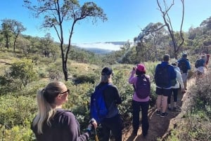 Perth: Perth Hills Hike, Wine & Dine: Perth Hills Hike, Wine & Dine