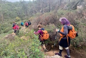 Perth Senderismo de resistencia en Piesse Brook