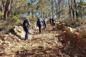 Perth Senderismo de resistencia en Piesse Brook