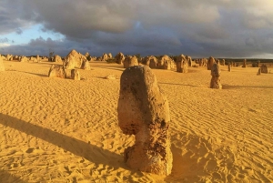 Perth: Pinnacles and Swan Valley Wine Day Tour with Lunch