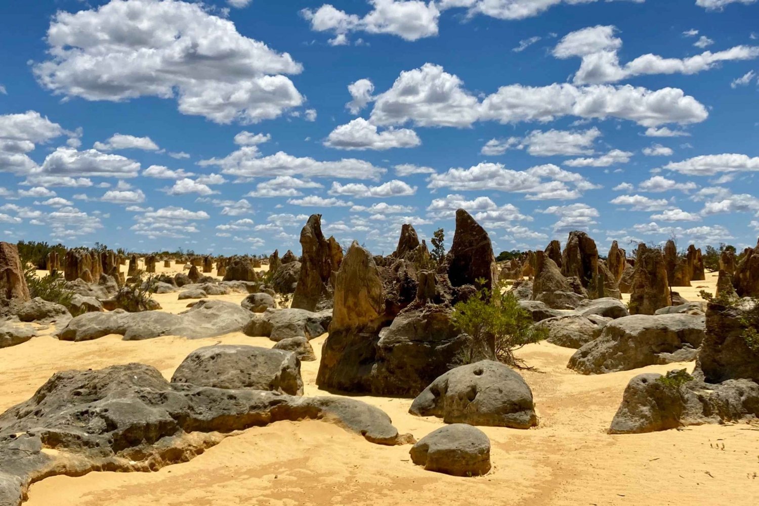 Perth: Pinnacles Desert Bush Walk Guided Tour with Lunch