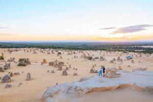 Perth: Pinnacles Desert Lobster Tour ja aamutee