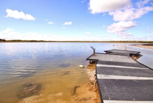 Perth: Pinnacles Desert Lobster Tour ja aamutee