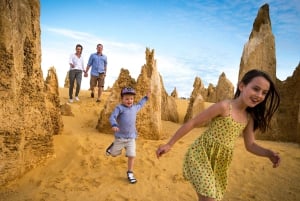 Perth: Pinnacles Desert Lobster Tour ja aamutee