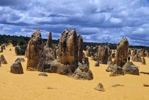 Perth: Pinnacles Desert og Sand Dunes privat dagstur