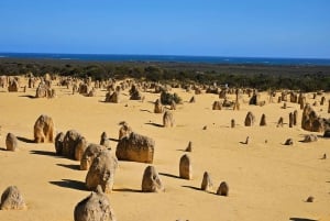 Perth: Pinnacles Desert og Sand Dunes privat dagstur