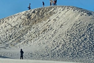 Perth: Pinnacles Desert og Sand Dunes privat dagstur