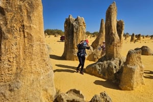 Perth: Pinnacles Desert & Sand Dunes privé-dagtour