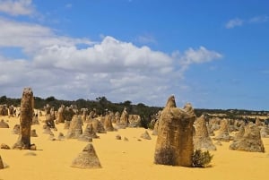 Perth: Pinnacles Desert & Sand Dunes privé-dagtour