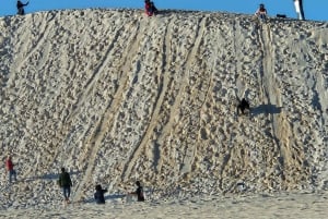 Perth: Pinnacles Desert & Sand Dunes privé-dagtour