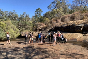 Perth: Roley Pools Reserve Mummy & Me Hike Tea (Äiti ja minä vaellus tee)