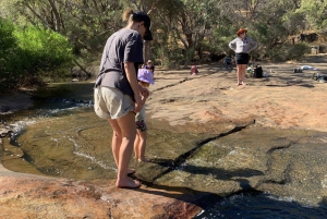 Perth: Roley Pools Reserve Mummy & Me Hike Tea (Äiti ja minä vaellus tee)