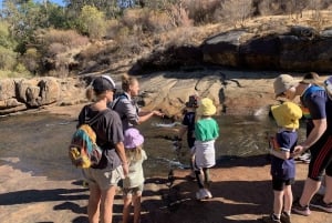 Perth: Roley Pools Reserve Mummy & Me Hike Tea (Äiti ja minä vaellus tee)