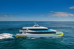 Perth: Rottnest Island Fähre, Fahrrad, Kaffee und Hummerbrötchen