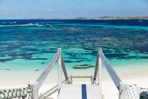 Perth: Rottnest Island Ferry Round-Trip Ticket