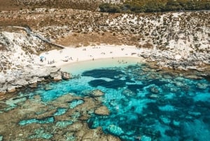 Perth : Transfert en avion vers l'île de Rottnest et ferry aller-retour