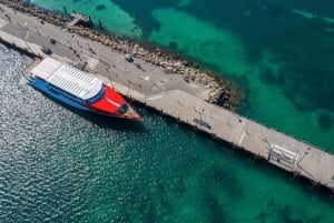 Perth: Rottnest Eiland Vlucht Transfer met Retour Veerboot