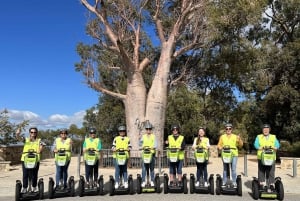 Perth Segway 1.5 Hour Kings Park Tour